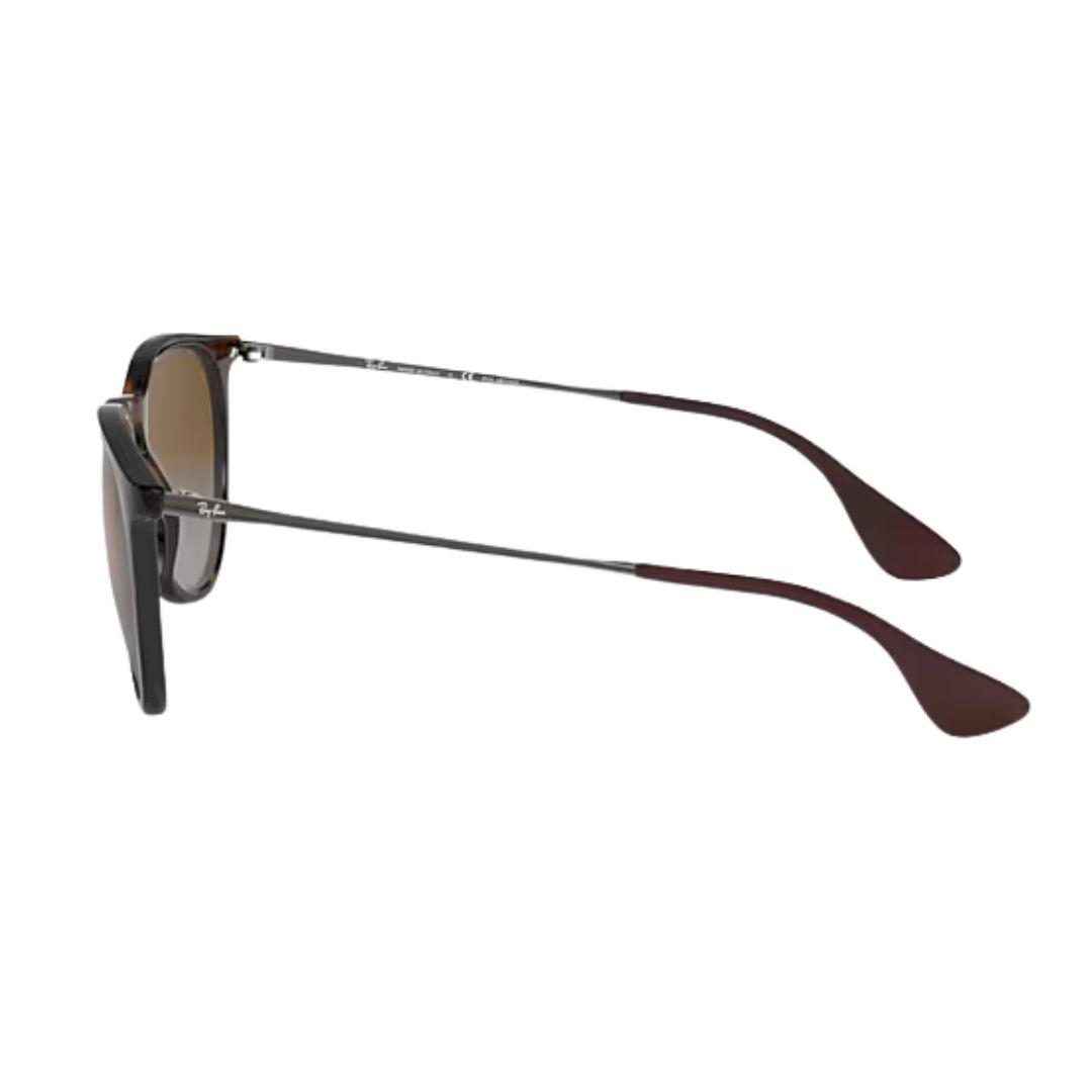 Ray Ban 25 Erika Sunglasses